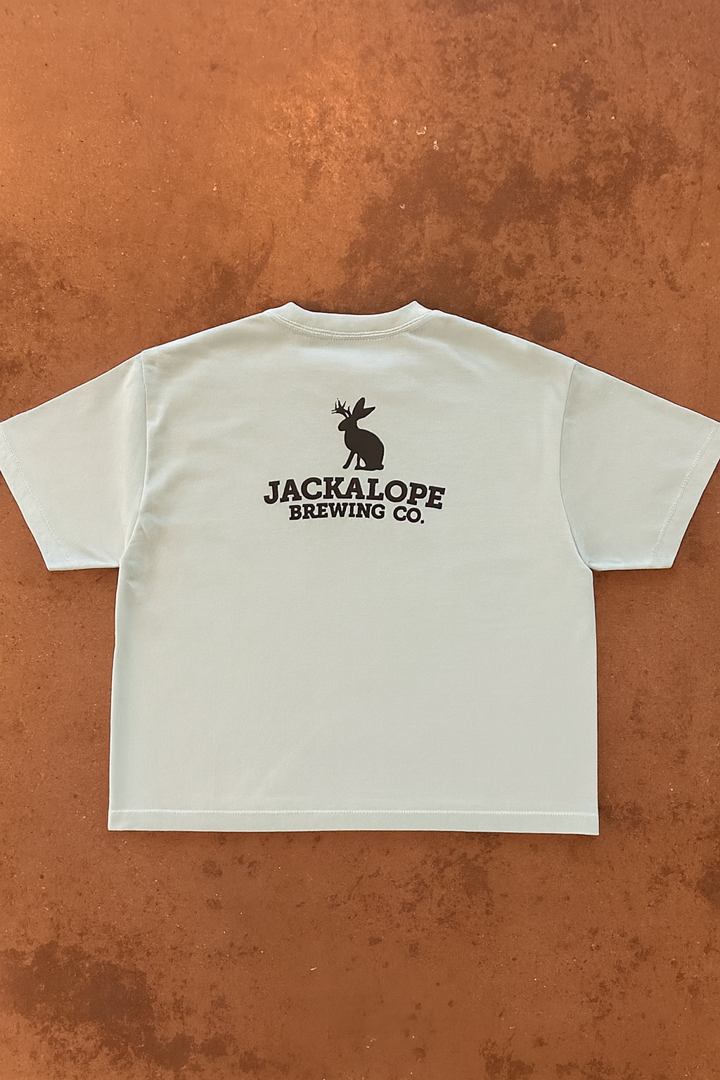 Lovebird Women's Crop Top Tee - Mint Green